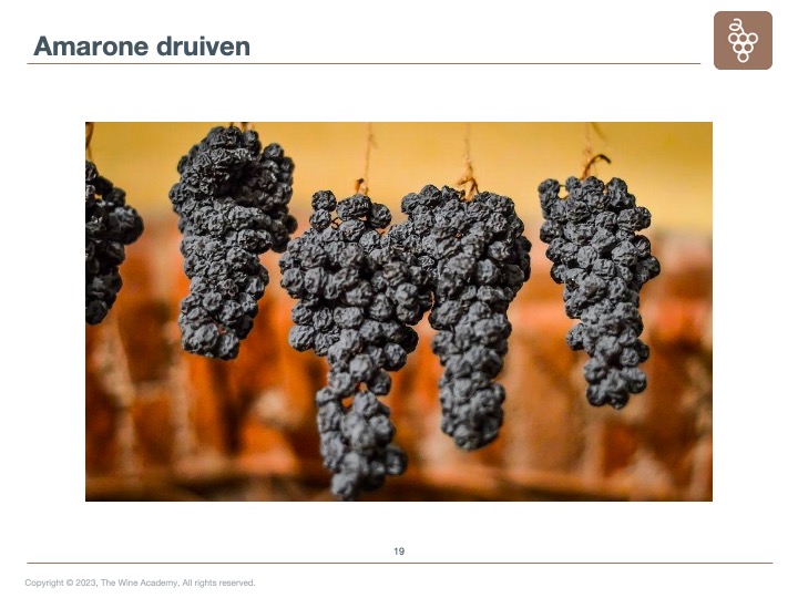 Italië - Amarone druiven
